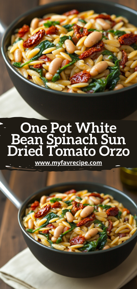 One Pot White Bean Spinach Sun Dried Tomato Orzo