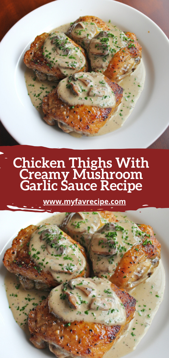 Chicken Thighs With Creamy Mushroom Garlic Sauce Recipe