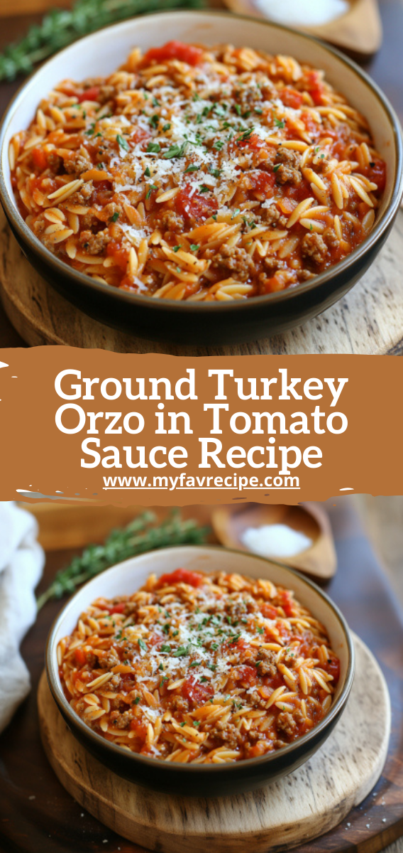 Ground Turkey Orzo in Tomato Sauce Recipe