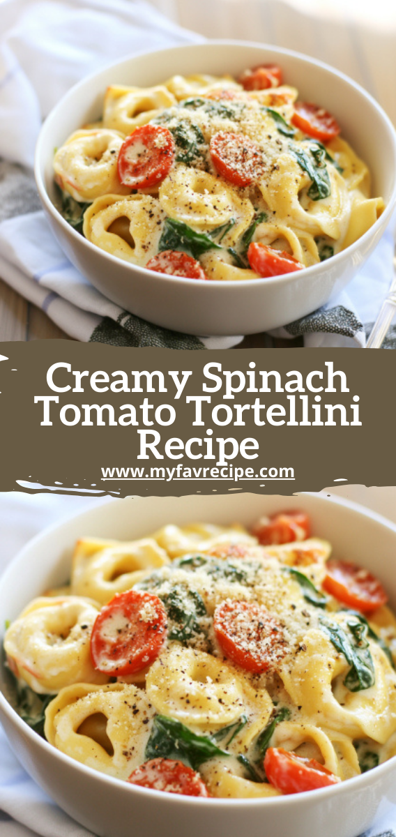 Creamy Spinach Tomato Tortellini Recipe