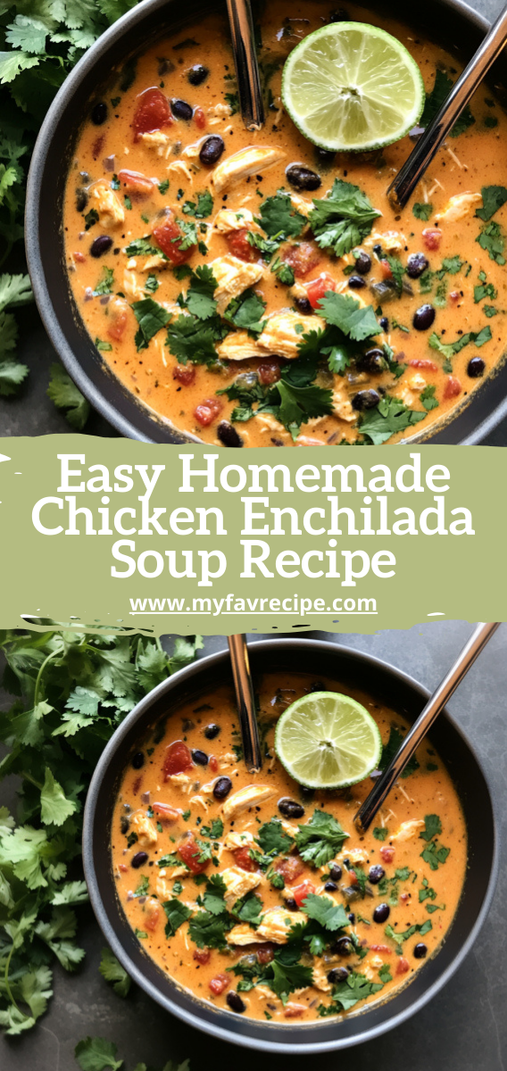 Easy Homemade Chicken Enchilada Soup Recipe