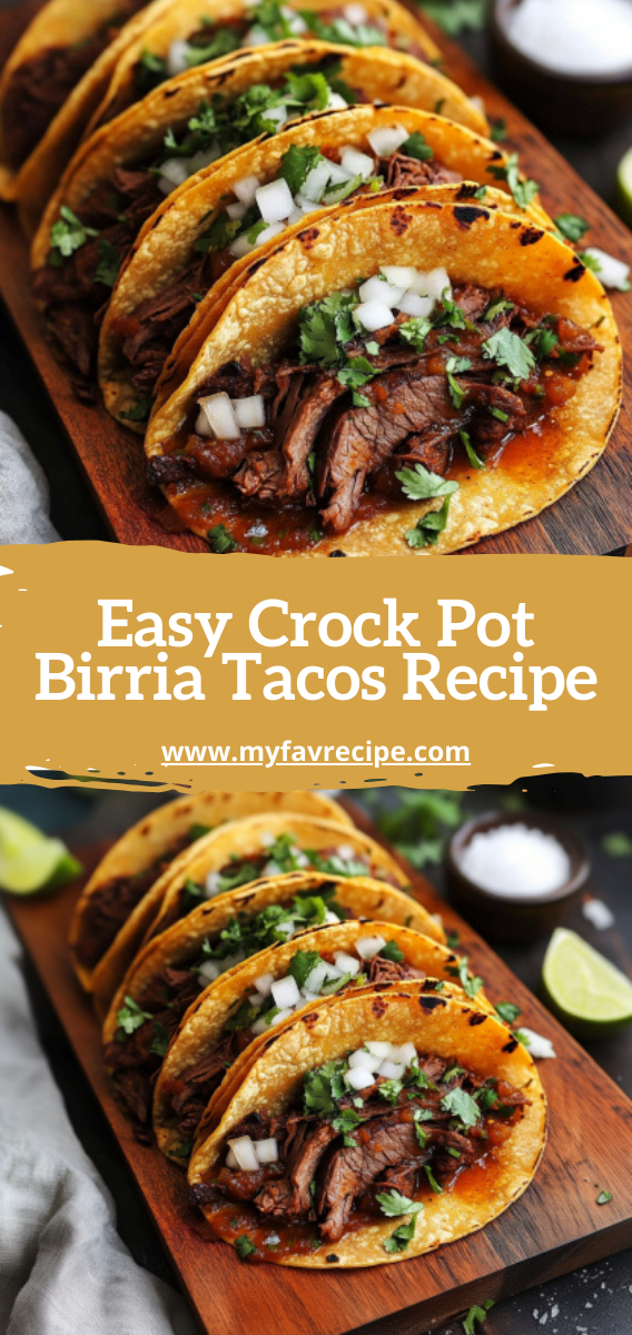 Easy Crock Pot Birria Tacos Recipe